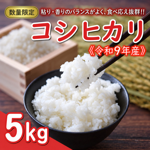 先行予約 新米 令和9年産 コシヒカリ 10kg 10000円 お米 白米 精米 米 愛南町 愛媛県