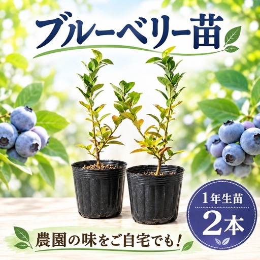 苗木 1年生 2本 [ ブルーベリー苗 ]