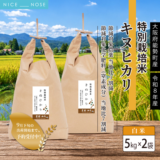 《予約受付中》令和8年産 特別栽培米キヌヒカリ(白米) 5kg×2袋 | 農園のら | 米 新米 白米 精米 10kg キヌヒカリ 減農薬 自然栽培 特別栽培 食 | おにぎり 弁当 産地直送 | 大阪府 能勢町 送料無料