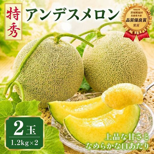 【2027年先行予約】 アンデスメロン 2玉 約2.4kg 青肉メロン 特秀