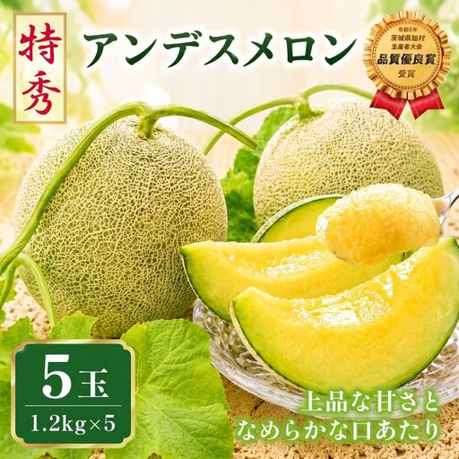 【2027年先行予約】 アンデスメロン 5玉 約6kg 青肉メロン 特秀