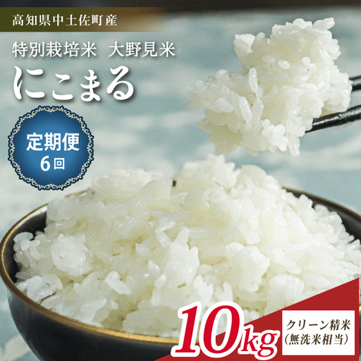【定期便6回】【新米】  にこまる 10kg 無洗米 相当 大野見米