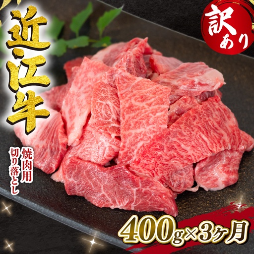 [3ヶ月定期便] E505 焼肉切落し400g