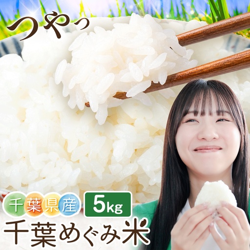 米 白米 千葉めぐみ米 5kg 千葉県産