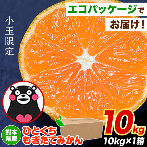 訳あり みかん 小玉 ひとくちもぎたてみかん 約 10kg