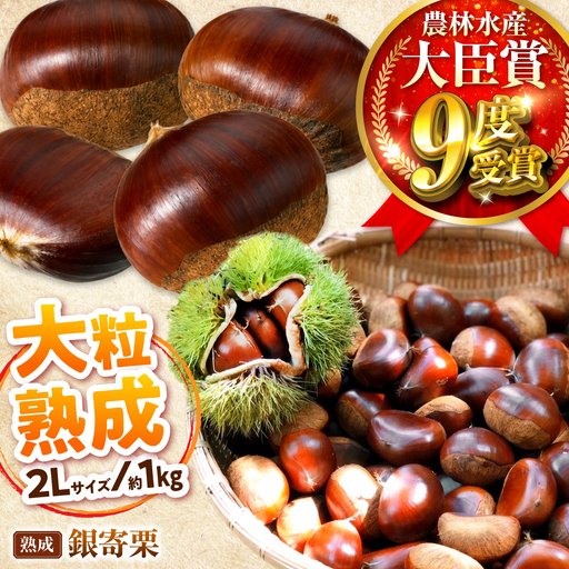 [先行予約]大粒熟成栗 2L 1kg 約40粒 萬奥農園