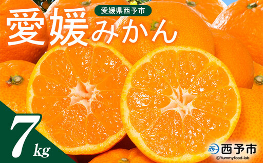 ＜西宇和地区西予産 愛媛みかん 約7kg＞『2026年11月以降順次出荷予定』温州みかん ミカン 蜜柑 フレッシュ 愛媛県産 果肉 果物 柑橘 フルーツ オレンジ 国産 濃厚 産地直送 ミヤモトオレンジガーデン 愛媛県 西予市【常温】ONM0047