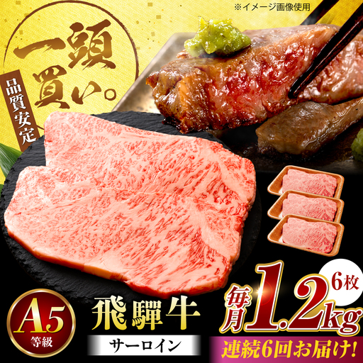 【6回定期便】飛騨牛 サーロイン(ステーキ用)1.2kg(200g×6枚)飛騨牛 国産 肩ロース ロース ステーキ 黒毛和牛 和牛 牛肉 BBQ steak 岐阜県 / 御嵩町 / 馬力家[AVBO103]