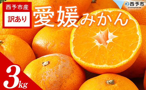 ＜訳あり 愛媛みかん 約3kg＞『2026年11月以降順次出荷予定』温州 みかん フレッシュ ご家庭用 ご自宅 蜜柑 愛媛県産 キロ 果肉 果物 柑橘 フルーツ オレンジ 国産 濃厚 産地直送 ミヤモトオレンジガーデン 愛媛県 西予市【常温】ONM0050