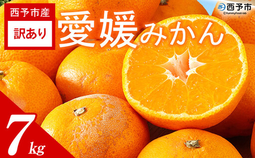＜訳あり 愛媛みかん 約7kg＞『2026年11月以降順次出荷予定』温州 みかん フレッシュ ご家庭用 ご自宅 蜜柑 愛媛県産 キロ 果肉 果物 柑橘 フルーツ オレンジ 国産 濃厚 産地直送 ミヤモトオレンジガーデン 愛媛県 西予市【常温】ONM0052