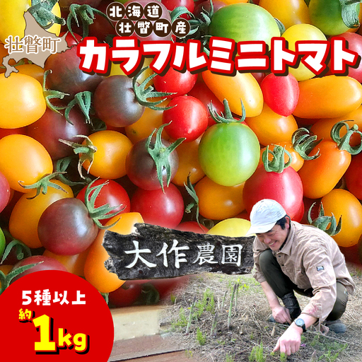 【2027年7月より発送】カラフルミニトマト約1kg(5種以上) 大作農園 北海道壮瞥町 SBTR011