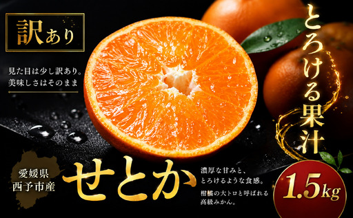 [濃密果汁 愛媛県産せとか 合計約1.5kg]『2027年2月上旬〜5月上旬迄に順次出荷予定』 訳あり セトカ ミカン 蜜柑 食感 甘い ご家庭用 果汁 果物 くだもの フルーツ オレンジ 柑橘 人気柑橘 特産品 極尽道 愛媛県 西予市 [常温]OKS0001