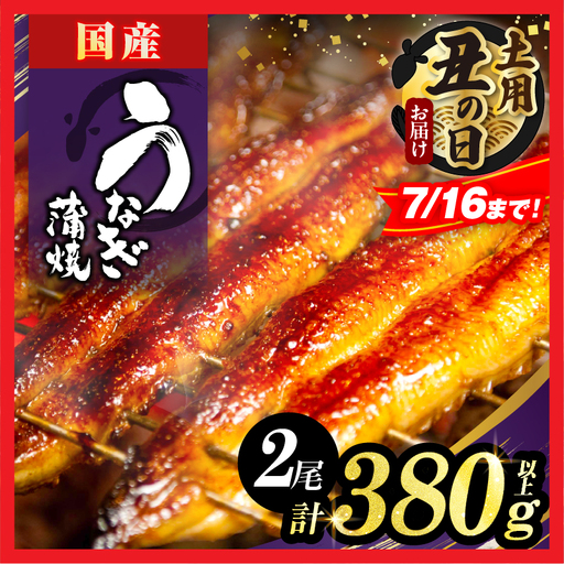 [夏の丑の日までにお届け!!]うなぎ蒲焼特大2尾(さんしょう・たれ付き)計380g以上 鰻 魚 魚介 加工品 国産_T026-0065-US2