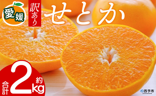 先行予約＜訳あり 愛媛県産せとか 合計約2kg＞ 『2027年2月以降順次出荷予定』ご家庭用 ご自宅用 お試し 芳醇 わけあり 果物 柑橘 フルーツ 高級柑橘 国産 とろける食感 濃厚 果汁 産地直送 特産品 ミヤモトオレンジガーデン 愛媛県 西予市【常温】ONM0024