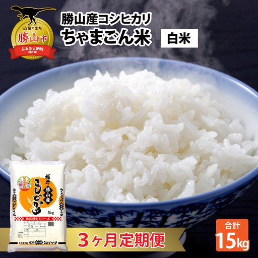 コシヒカリ 定期便 ちゃまごん米 5kg×3回 コシヒカリ