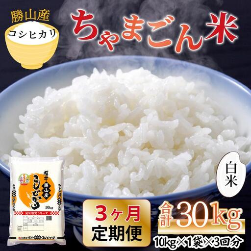 コシヒカリ 定期便 ちゃまごん米 10kg×3回 コシヒカリ