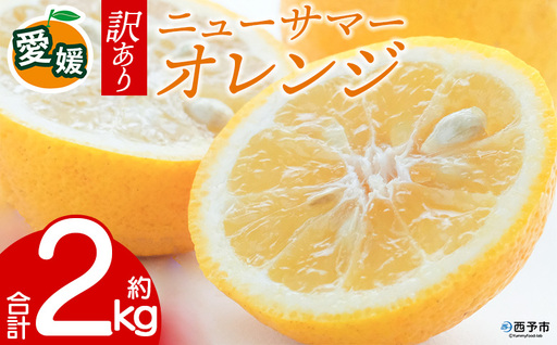 先行予約＜訳あり 愛媛県産 ニューサマーオレンジ 合計約2kg＞ 『2027年4月～5月に順次出荷予定』日向夏 小夏 ご家庭用 ご自宅 蜜柑 果肉 果物 柑橘 フルーツ オレンジ 国産 濃厚 果汁 産地直送 ミヤモトオレンジガーデン 愛媛県 西予市【常温】ONM0026