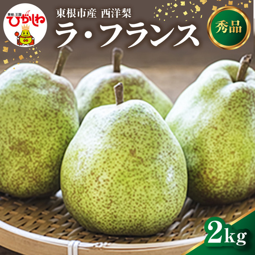 2026年産 西洋梨 ラフランス 2kg ラフランス 洋梨 くだもの