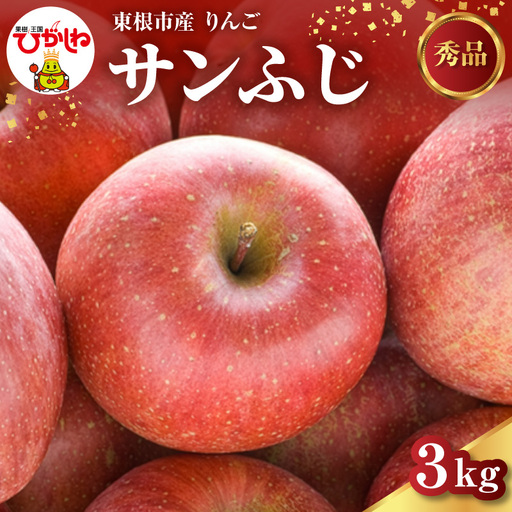 2026年産 りんご サンふじ 3kg りんご サンふじ くだもの