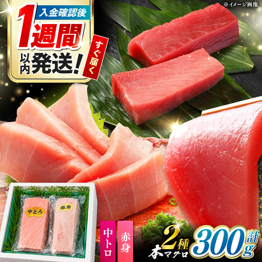 対馬産 本マグロ（赤身中トロ）300g 《対馬市》【対海】 赤身 中トロ まぐろ マグロ 鮪[WAH051]