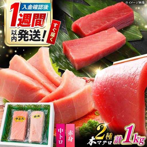 対馬産 本マグロ（赤身中トロ）1kg 《対馬市》【対海】 赤身 中トロ まぐろ マグロ 鮪[WAH053]
