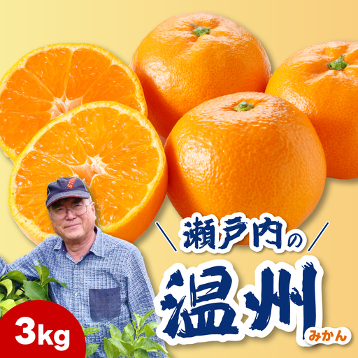 【先行受付】普通温州青島（おくて）3kg 2027年1月発送予定 柑橘 ミカン みかん 果物 くだもの フルーツ 瀬戸内 251026