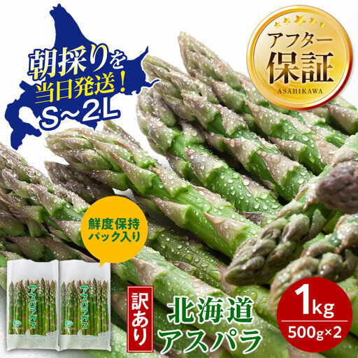 【先行予約】【訳あり】露地物朝採りアスパラ 1kg（500g×2）(2027年5月中旬発送開始) _06553