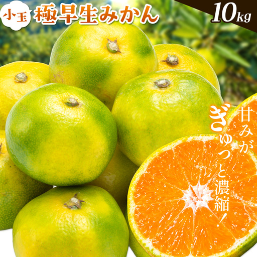 みかん 小玉 極早生みかん 10kg
