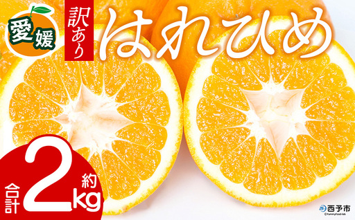 先行予約＜訳あり 愛媛県産 はれひめ 合計約2kg＞ 『2026年12月下旬以降順次出荷予定』 みかん フレッシュ ご家庭用 ご自宅 柔らか 果肉 お試し 果物 柑橘 フルーツ オレンジ 国産 産地直送 特産品 ミヤモトオレンジガーデン 愛媛県 西予市【常温】ONM0030