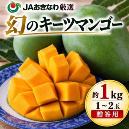 [2027年8月中旬から順次発送・贈答用]幻のキーツマンゴー約1kg(1玉〜2玉)[配送不可地域:離島]