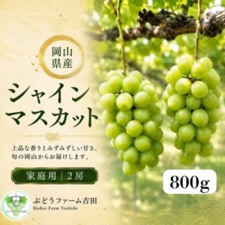 【家庭用】岡山県産シャインマスカット　計800g(2房)【配送不可地域：離島】【1779421】