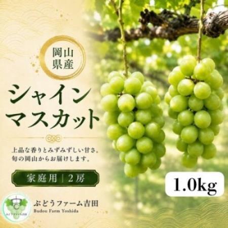 【家庭用】岡山県産シャインマスカット　計1.0kg(2房)【配送不可地域：離島】【1779430】