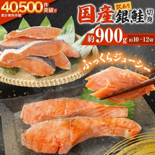 訳あり 国産 銀鮭 定塩切身 0.9kg [宮城県 石巻市] サケ しゃけ 魚 鮭
