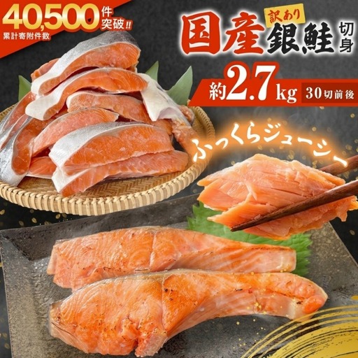 訳あり 国産 銀鮭 定塩切身 どっさり 2.7kg [宮城県 石巻市] サケ しゃけ 魚 鮭