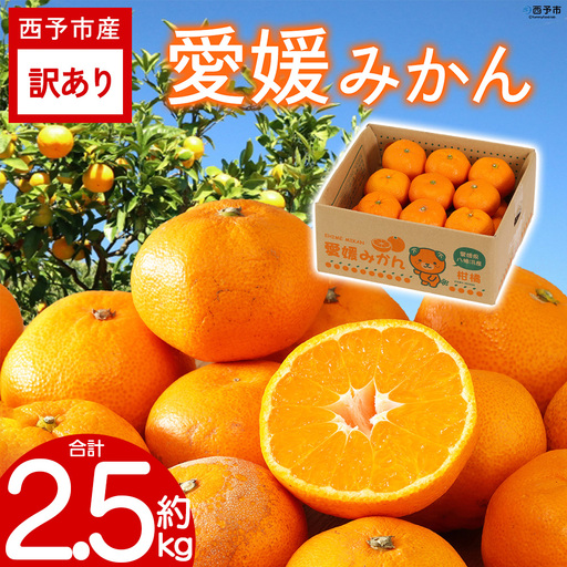 先行予約＜訳あり 愛媛みかん 合計約2.5kg＞ 『2026年11月以降順次出荷予定』温州 みかん フレッシュ ご家庭用 ご自宅 蜜柑 愛媛県産 キロ 果肉 お試し 果物 柑橘 フルーツ オレンジ 国産 濃厚 産地直送 ミヤモトオレンジガーデン 愛媛県 西予市【常温】ONM0033