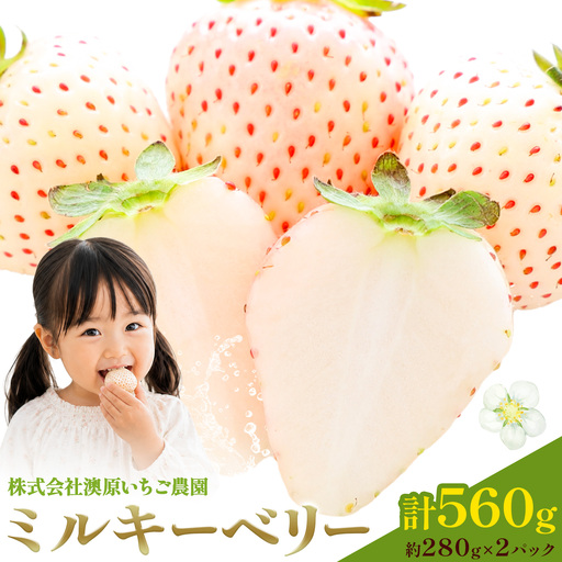 ミルキーベリー 約280g 2パック 計560g 澳原いちご農園