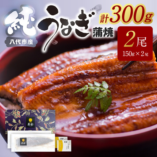 鰻 [先行予約] うなぎ蒲焼2尾セット(150g×2尾)合計300g たれ・山椒付き [2026年10月中旬より順次発送] 鰻