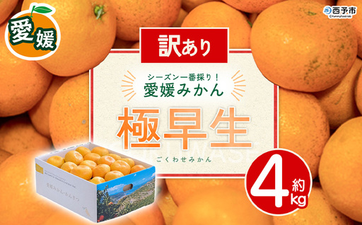 ＜訳あり 愛媛県産 極早生みかん 合計約4kg＞ 『2026年10月以降順次出荷予定』 みかん フレッシュ ご家庭用 ご自宅 ごくわせ キロ 果肉 お試し 果物 柑橘 フルーツ オレンジ 国産 濃厚 産地直送 ミヤモトオレンジガーデン 愛媛県 西予市【常温】ONM0036