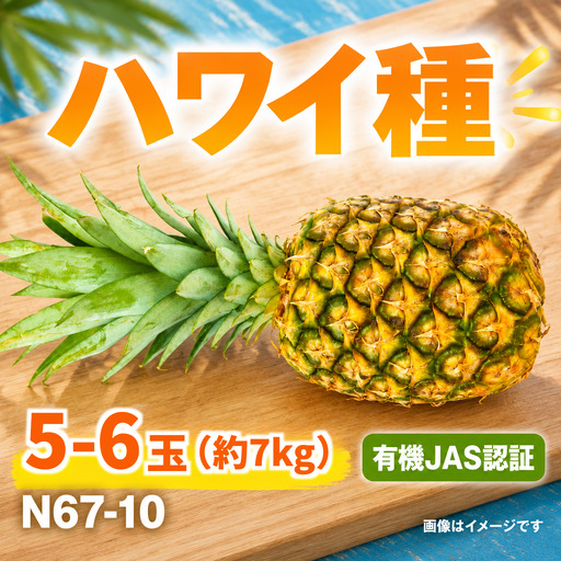 パイナップル ハワイ種 5～6玉 約7㎏ 有機JAS