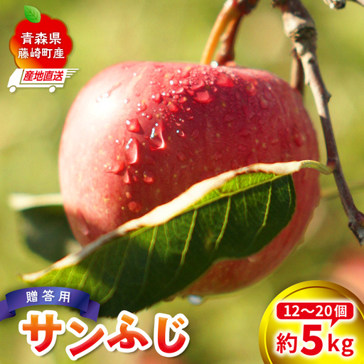 ＜産地直送＞ サンふじ 贈答用 特選クラス 約5kg (12～20個) 【前田農園】 F41-0187