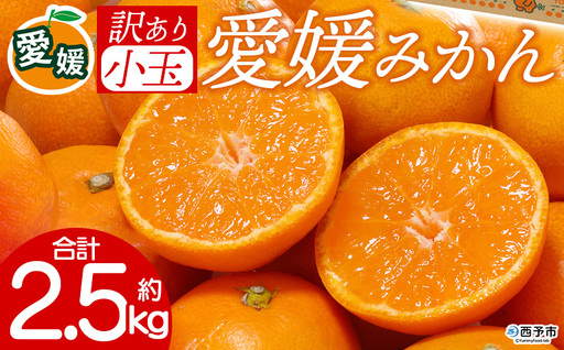 先行予約＜訳あり 愛媛県産 小玉みかん 合計約2.5kg＞ 『2026年11月以降順次出荷予定』 甘さ凝縮 フレッシュ ご家庭用 ご自宅 蜜柑 果肉 お試し 果物 柑橘 フルーツ オレンジ 国産 濃厚 果汁 産地直送 ミヤモトオレンジガーデン 愛媛県 西予市【常温】ONM0038