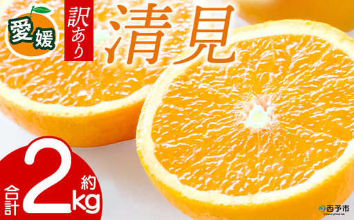 先行予約＜訳あり 愛媛県産 清見 合計約2kg＞ 『2027年4月～6月に順次出荷』きよみ 溢れる果汁 ご家庭用 ご自宅 お試し わけあり 果物 柑橘 フルーツ オレンジ 国産 濃厚 果汁 産地直送 特産品 ミヤモトオレンジガーデン 愛媛県 西予市【常温】ONM0039