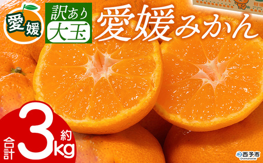 先行予約＜訳あり 大玉 愛媛みかん 合計約3kg＞ 『2026年11月以降順次出荷予定』温州 みかん フレッシュ ご家庭用 ご自宅 蜜柑 愛媛県産 果肉 お試し 果物 柑橘 フルーツ オレンジ 国産 産地直送 ミヤモトオレンジガーデン 愛媛県 西予市【常温】ONM0040