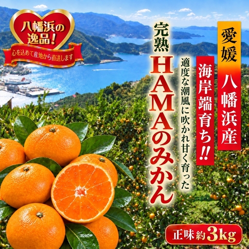 【先行受付】ミネラルを運ぶ潮風に吹かれ甘く育ったみかんを厳選　完熟「HAMAのみかん」　正味約３ｋｇ【39-94】YWTF069
