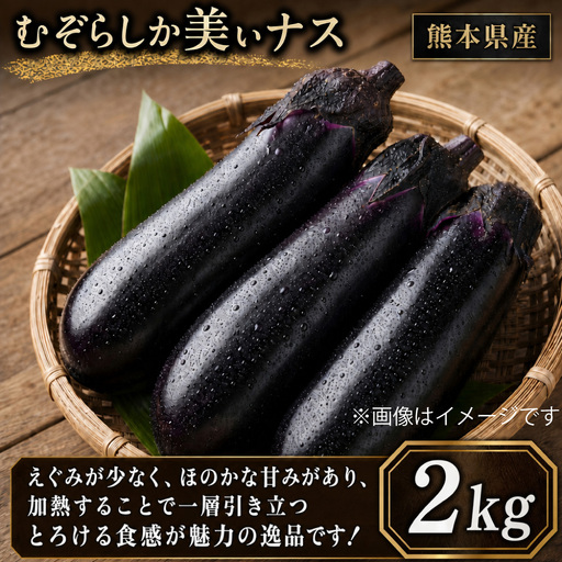 くまもと むぞらしか美ぃナス ( ビーナス ) 2kg ( 熊本県産 ) ナスビ 野菜 和食 洋食 中華 おかず おつまみ 旬の野菜 季節の野菜 旬 季節 焼きナス 国産 [ 2026年11月上旬〜2027年5月下旬迄発送 ]