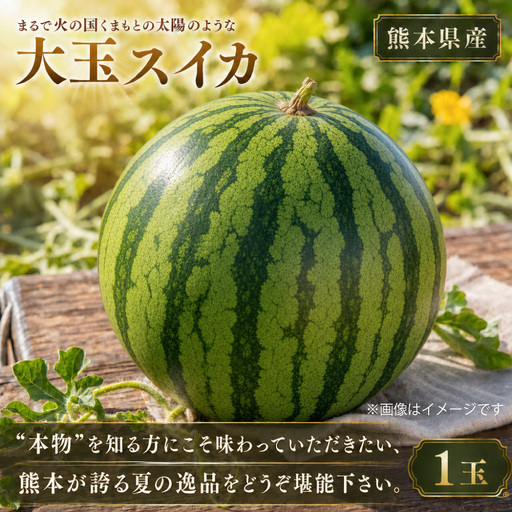 『 まるで火の国くまもとの太陽のような大玉スイカ 』 1玉 ( 熊本県産 ) 果物 フルーツ 果実 果汁 果肉 国産 季節の果物 旬の果物 [ 2027年4月下旬〜6月下旬迄発送予定 ]