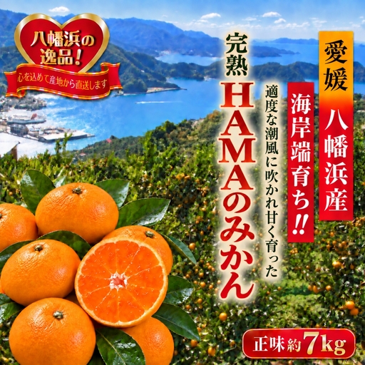 【先行受付】ミネラルを運ぶ潮風に吹かれ甘く育ったみかんを厳選　完熟「HAMAのみかん」　正味約7ｋｇ【39-96】YWTF071