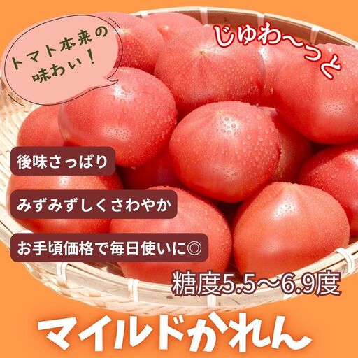 糖度5.5～6.9度のトマト マイルドかれん 3kg | de-karen-3kg