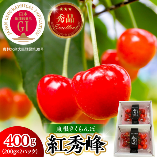 2027年産 GI東根 さくらんぼ 紅秀峰 400g さくらんぼ