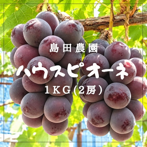 島田農園　ピオーネ1kg（2房入り）【令和9年8月中旬頃発送！予約受付中】【A-160】